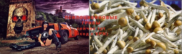 mdma Мегион