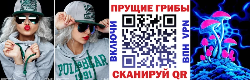 MEGA как войти цена наркотик Новосиль Галлюциногенные грибы мухоморы